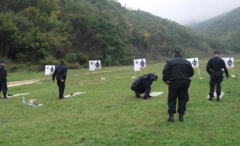 gadjanje_policija